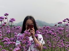 -光明小镇欢乐田园