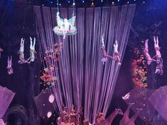 -广州长隆国际大马戏