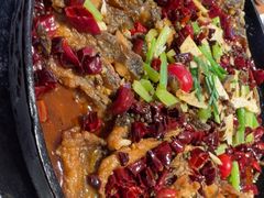 -老板恋上鱼(恒隆广场店)