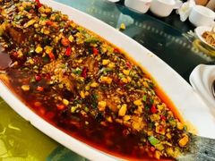 红菇翡翠鱼-同福聚新疆大盘鸡(总店)