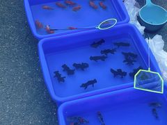 -华润万家(丹东宝山店)