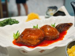 -丁老爷子苏香圆