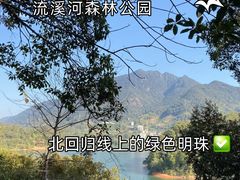 -广州市流溪河国家森林公园