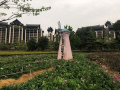 -清远熹乐谷温泉度假酒店