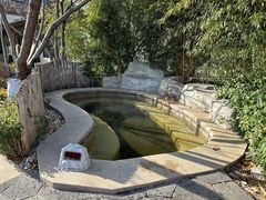 -大连金石滩绿发温泉假日酒店