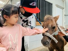 -乐融国际幼儿园(四季青校区)