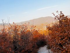 -香山公园