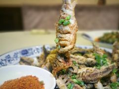 -高坎一品甲鱼庄(两河店)