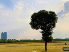 -山明水秀大饭店