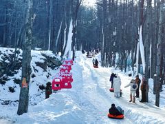 -洛阳白云山景区