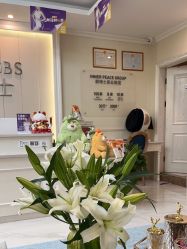 -静博士·养生养颜