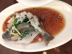 葱香鲈鱼-HOHO餐厅(古子城店)