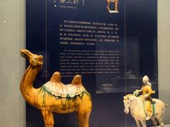 -镇江博物馆
