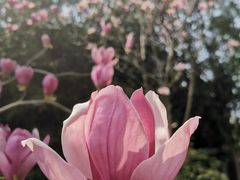 -南溪山景区