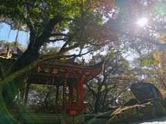 -乌山风景区
