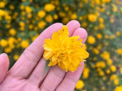 -陕西省西安植物园