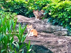 -晓港公园