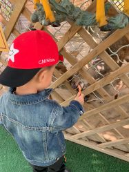 -萌宠亲子动物乐园(槐房万达店)