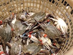 -海天盛宴新派海鲜自助餐厅(群力店)