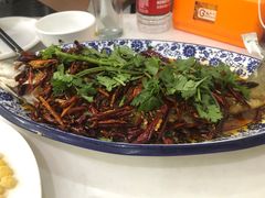 -田记餐馆(富国街店)