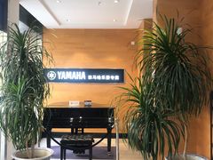 -海音琴行雅马哈钢琴·海伦·施特劳斯(金沙店)