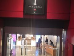 -DFS旗下T广场(新加坡店)