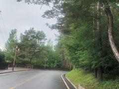 -茅兰沟国家森林公园