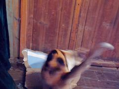 -BUND·FIVE外滩5号(天际店)