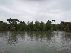 -东寨港红树林旅游区