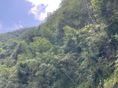 -千岛湖王子谷漂流