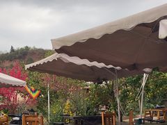 -桃源山庄·水蜜桃采摘·柴火鸡·烧烤团建(龙泉山店)