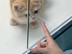 -乐宠宠物店(世纪金源店)