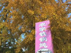 -农家铁锅炖(太阳沟店)