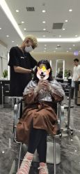 -MMby Hair Code芭曲发型
