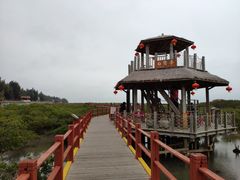 -北海金海湾红树林生态旅游区