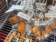 -蓝湾碧波·老字号·疍家非遗海上餐厅