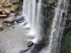 -汤旺河林海奇石景区