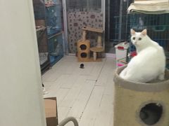 盛京一禾-盛京一禾