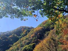 -秦岭风景区