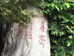 -钦善斋(武侯祠店)