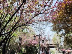 -西安汉城湖景区