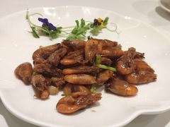 -张生记(丁香国际店)