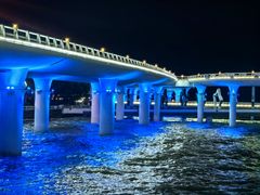 -演武大桥观景平台