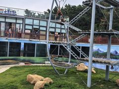 -西霞口神雕山野生动物世界