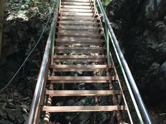 -藏龙百瀑风景区