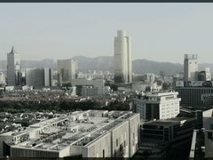 -梧桐餐厅(泉城路店)