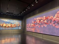 -罗红摄影艺术馆