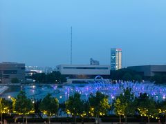 -羲和雅苑•北京烤鸭(乐园道万象城店)