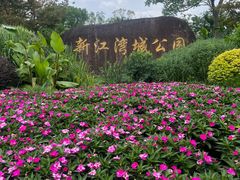 -新江湾城公园