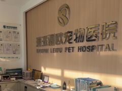 -瑞派雷欧宠物医院·24h夜诊·心脏骨科牙科·全科重症转诊中心(无影山店)